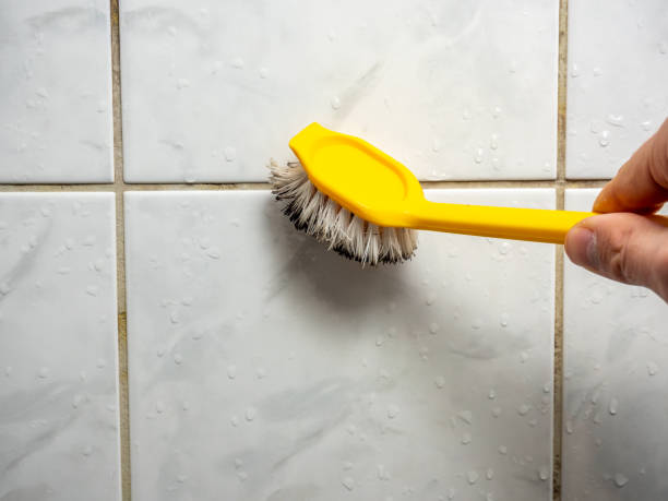 Best Mold Remediation  in Ferris, TX