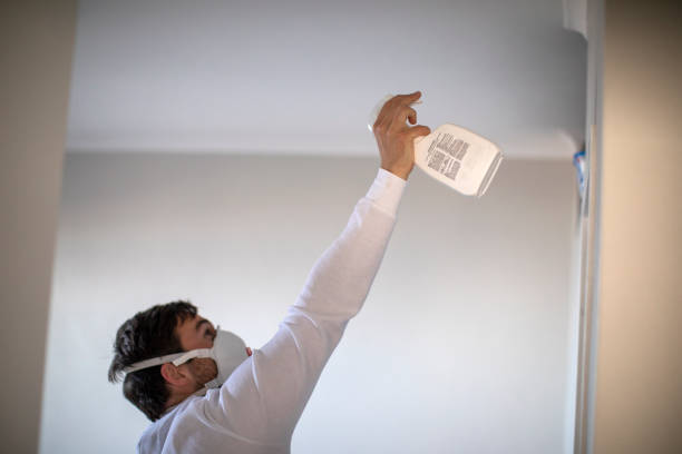 Best Emergency Mold Removal  in Ferris, TX