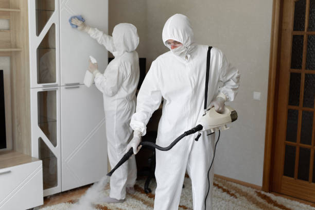 Certified Mold Removal in Ferris, TX