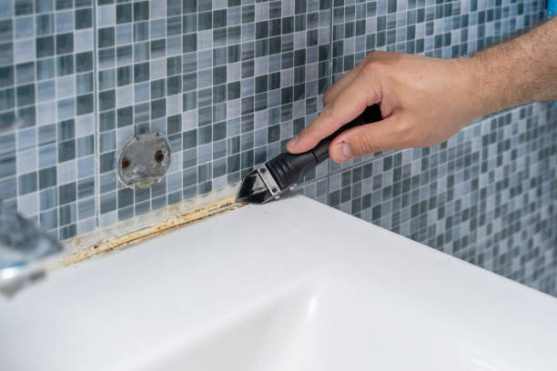 Best Professional Mold Removal  in Ferris, TX