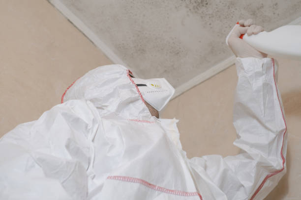 Best Water Damage Restoration  in Ferris, TX